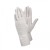 Ejendals Tegera 833 Disposable Latex Gloves