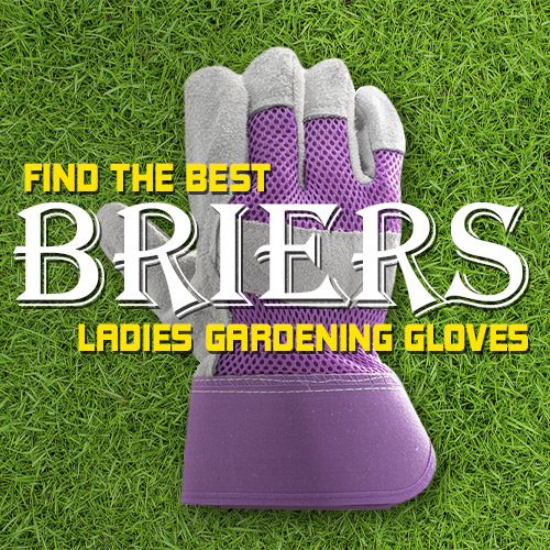 Find the Best Briers Ladies Gardening Gloves