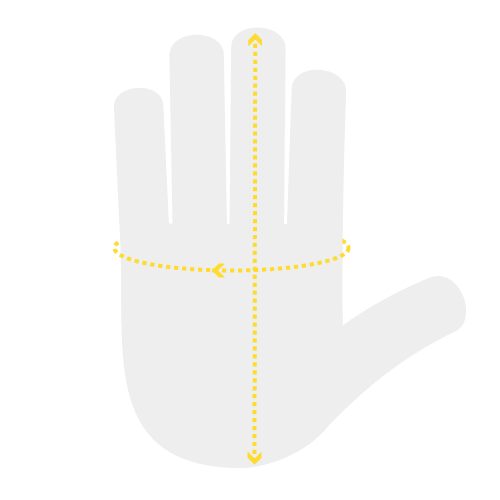 Circumference of the hand and length of the palm