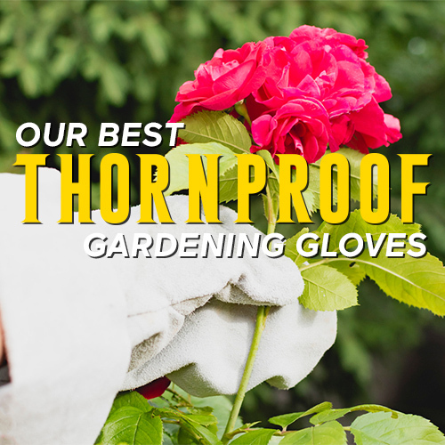 Our Best Thorn Proof Gardening Gloves