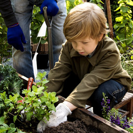 Click Here for Children's Gardening Gloves