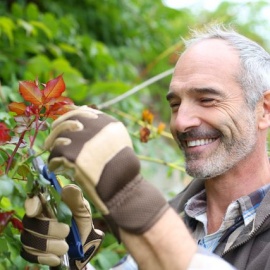Click Here for Men's Gardening Gloves