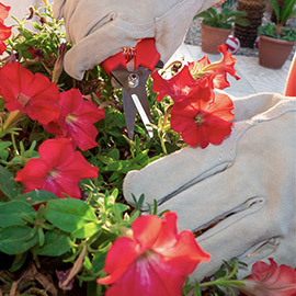 Professional Florist Gloves