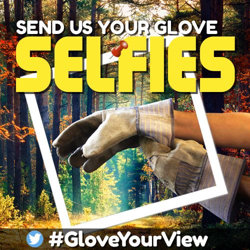 Where are your gloves? #GloveYourView