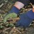 ClipGlove Warm 'n' Waterproof Men's Latex-Coated Winter Gardening Gloves