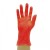 Shield2 GD17 Powder-Free Vinyl Red Disposable Gloves