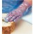 Shield GD51 Blue Smooth Polythene Disposable Gloves (Pack of 10 Bags)