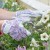Briers Flower Field Smart Gardening Gloves