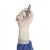 Medline Sensicare PI Ortho Powder-Free Surgical Gloves MSG94