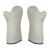 Polyco Teflon Mitt Heat-Proof Kitchen and Kiln Gloves (Silver Mittens)