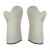 Polyco Teflon Mitt Heat-Proof Kitchen and Kiln Gloves (Silver Mittens)