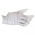 Supertouch Cotton Gloves - Forchette 2550 (Case of 500 Pairs)