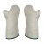 Polyco Teflon Mitt Silver Teflon Heat-Resistant Gloves