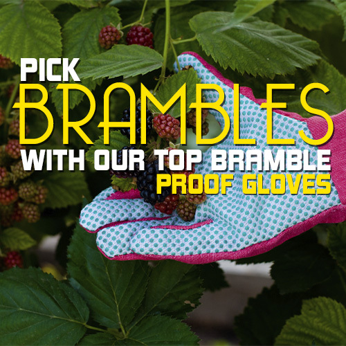 Find the Best Bramble Proof Gloves