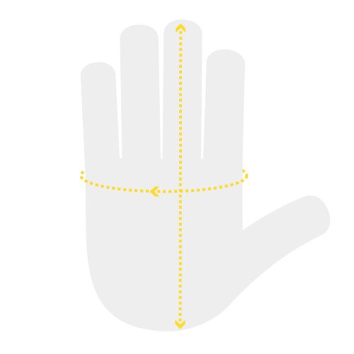 hand measurement, length of hand and circumference of palm at knuckles