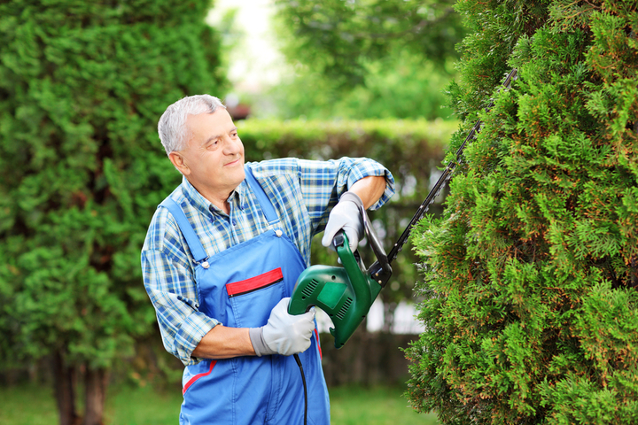 A good pair of Strimmer Gloves can protect hands during strimming