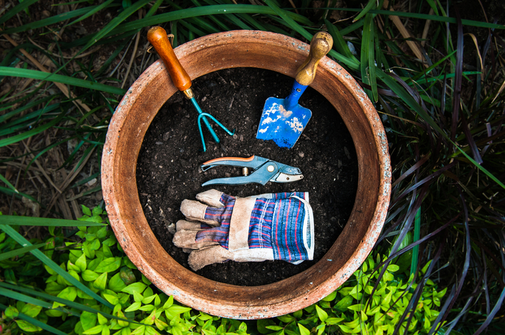 A good pair of leather gloves can help you get started in the garden