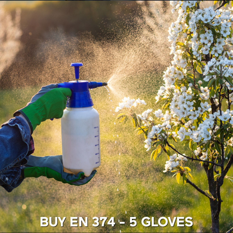 Buy EN 374-5 Gloves