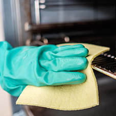 Oven Cleaning Gloves