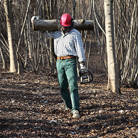 Arborist Gloves