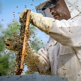 Beekeeping Gloves