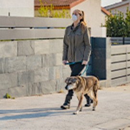 Dog Walking Gloves