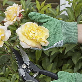 Florist Gloves