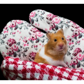 Hamster Handling Gloves