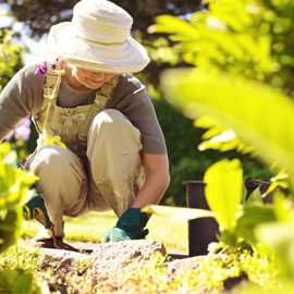 Ladies Gardening Gloves