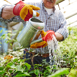 Leather Gardening Gloves