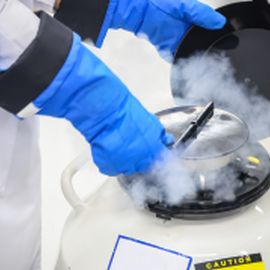 Liquid Nitrogen Gloves