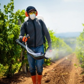 Pesticide Gloves