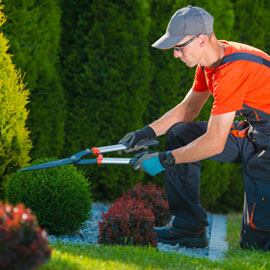 Gardening Gauntlets