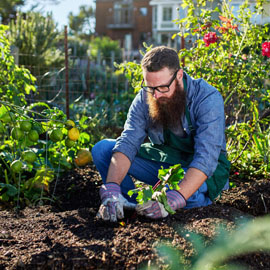 Gardening Gloves