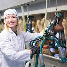 Milking Work Gloves