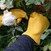 Town and Country Leather Gardening Gloves