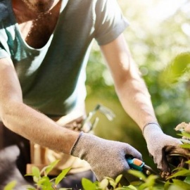 Vegan Gardening Gloves