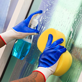 Window Cleaning Gloves