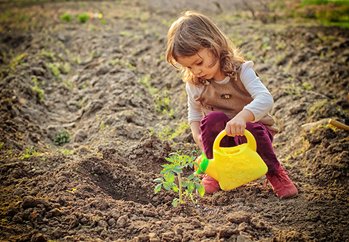 Little Girl Gardening