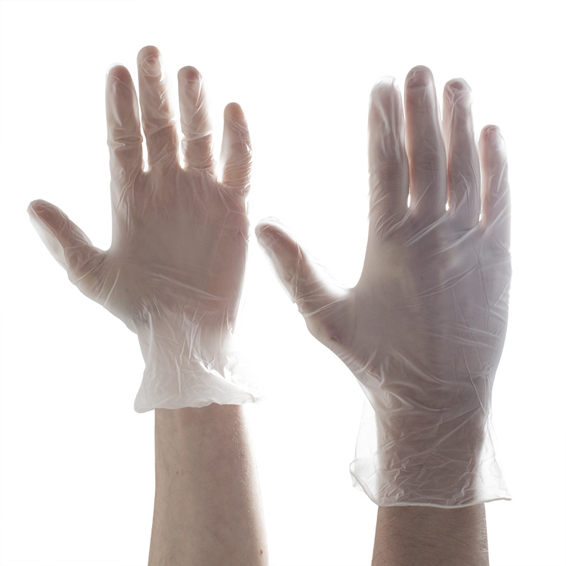 Aurelia Delight PF Medical Grade Vinyl Gloves