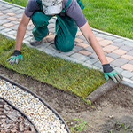 Best Gloves for Landscaping 2021