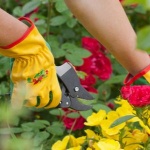 Best Thorn Proof Gardening Gloves 2022