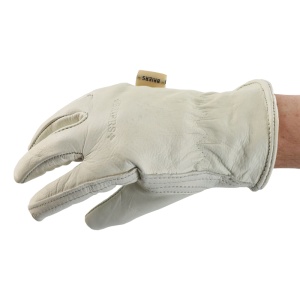 Prathima Hospitals Home Bargains Disposable Gloves Briers Ultimate