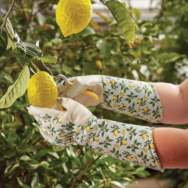 Briers Sicilian Lemon Garden Gauntlets - SafetyGloves.co.uk