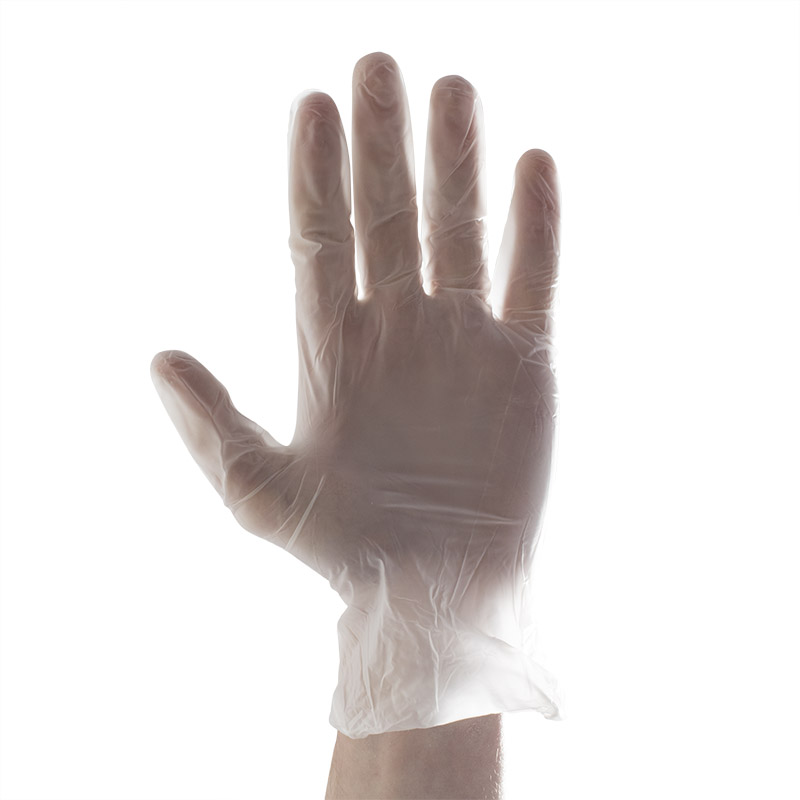 Guanti In Vinile Senza Polvere Aurelia Gloves - Taglia L (conf - Foto 2