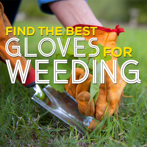 Find the Best Gloves for Weeding