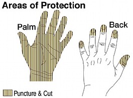Clear diagram of cut and puncture protection