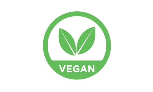 An Introduction to Vegan Gloves An Introduction to Vegan Gloves